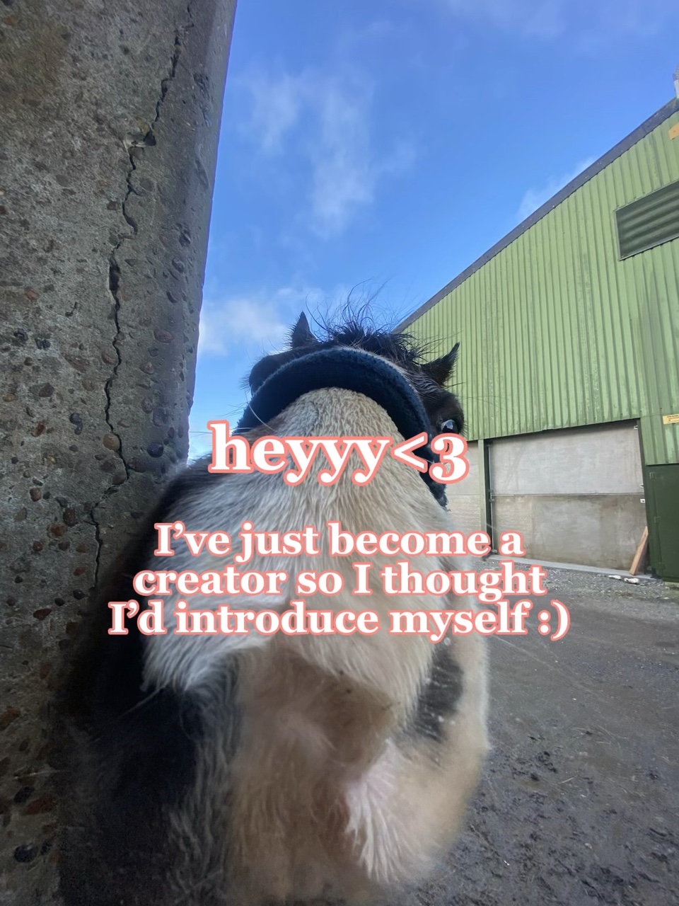 get to know me:)