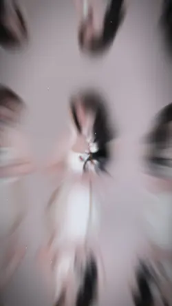 Mẫu 2 ảnh nhạc cháy