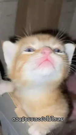 ตอนเด็กvsตอนโต