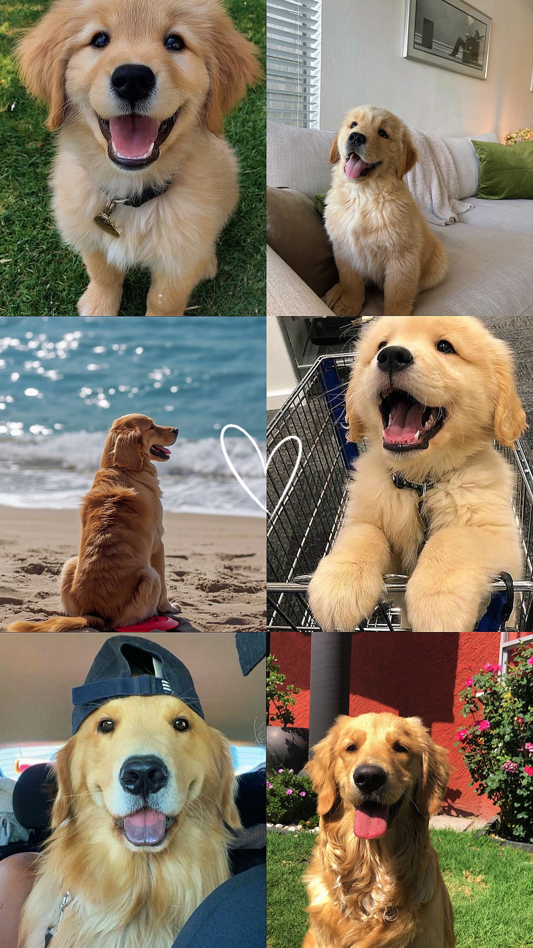 Mi Bebé De Piel