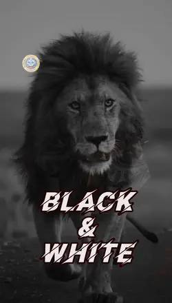 Black & White!🔥🔥🔥