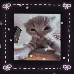 New Trending Edit 