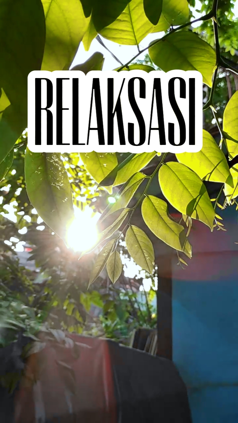 rilex sinematik