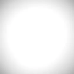 ランキング用天ぷら