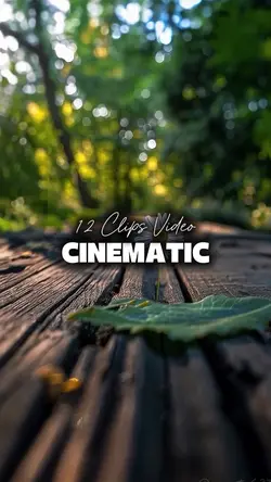 12 CLIPS VIDEO 