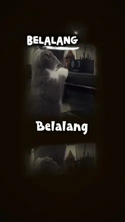 Belalang