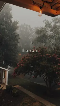 The rain 