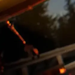 Mimic edit