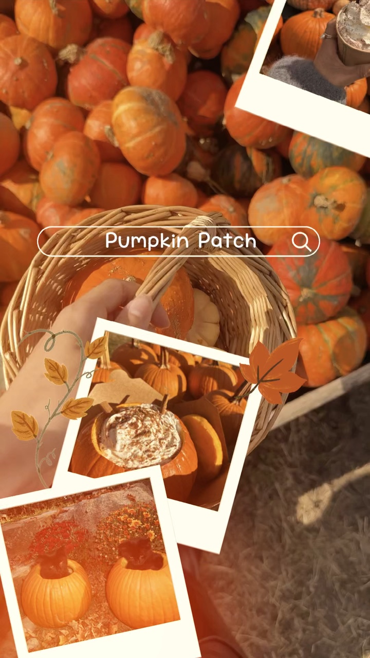 Día del parche de calabaza🎃