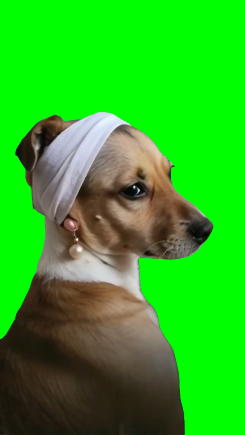 Lady Dog
