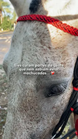 Eles curam ❤️‍🩹