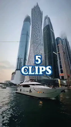 5 clips 