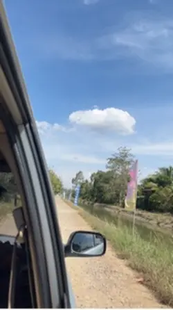 Vlog