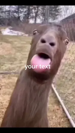 ๐ท