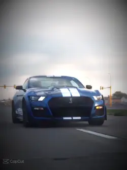 SHELBY MUSTANG 
