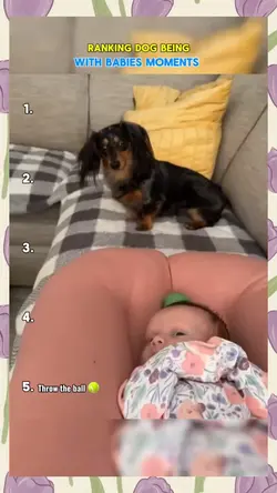 dog being with baby