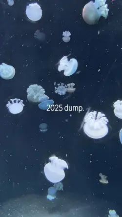 2025 dump 