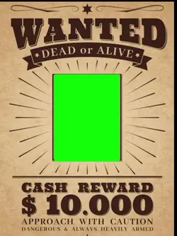 wanted poster 