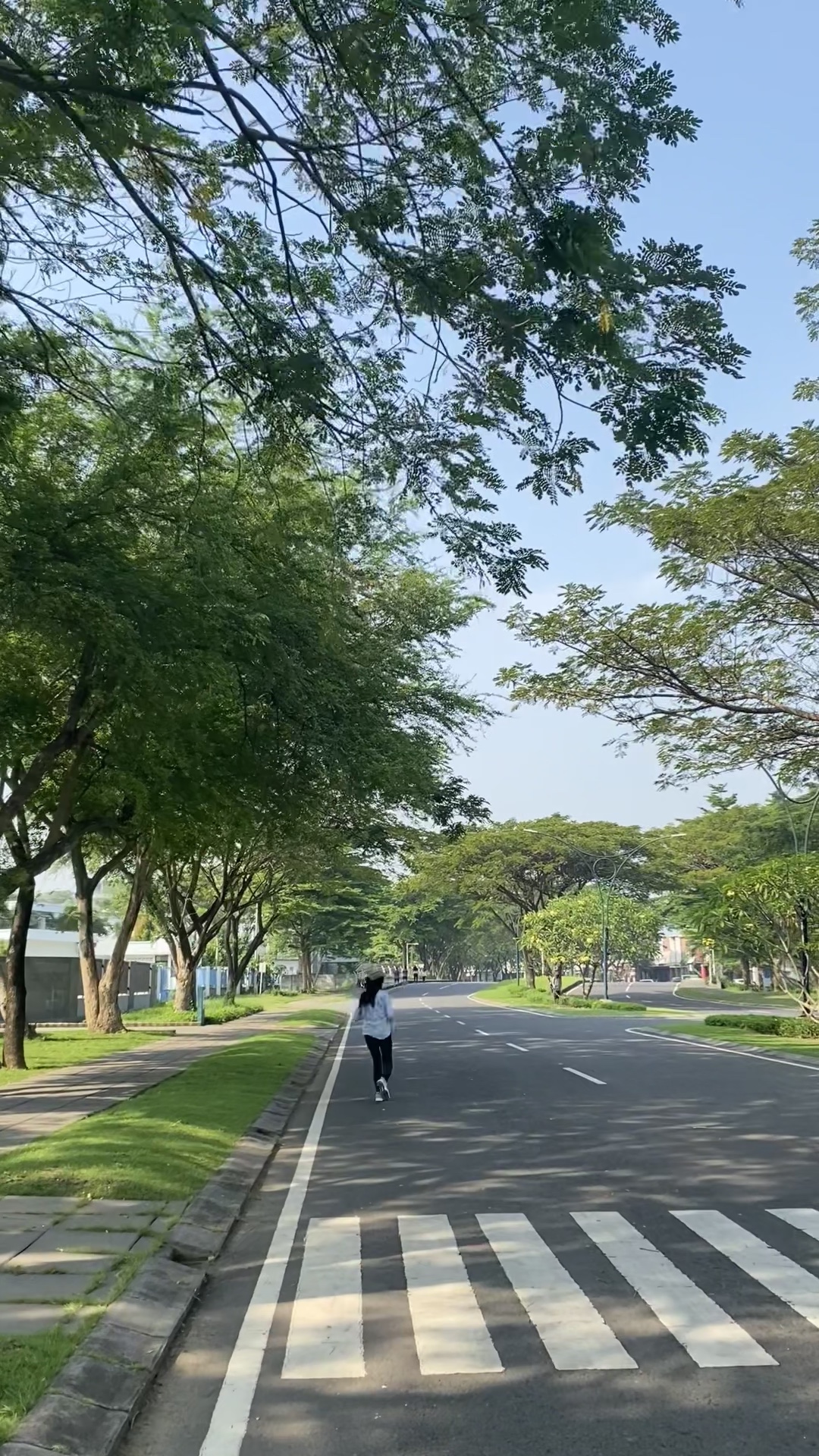 Nagjo-jogging