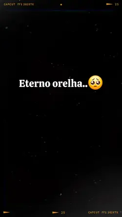 cão orelha