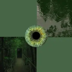 brown and green eyes