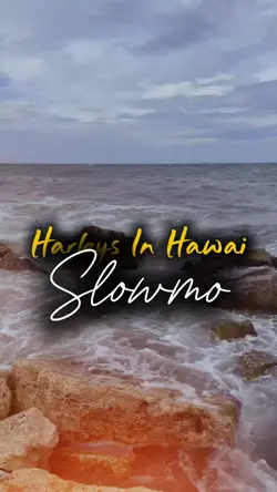 Harleys In Hawai
Slo