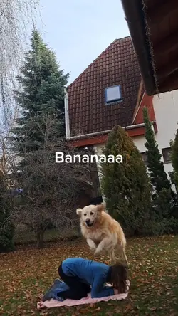 Banana