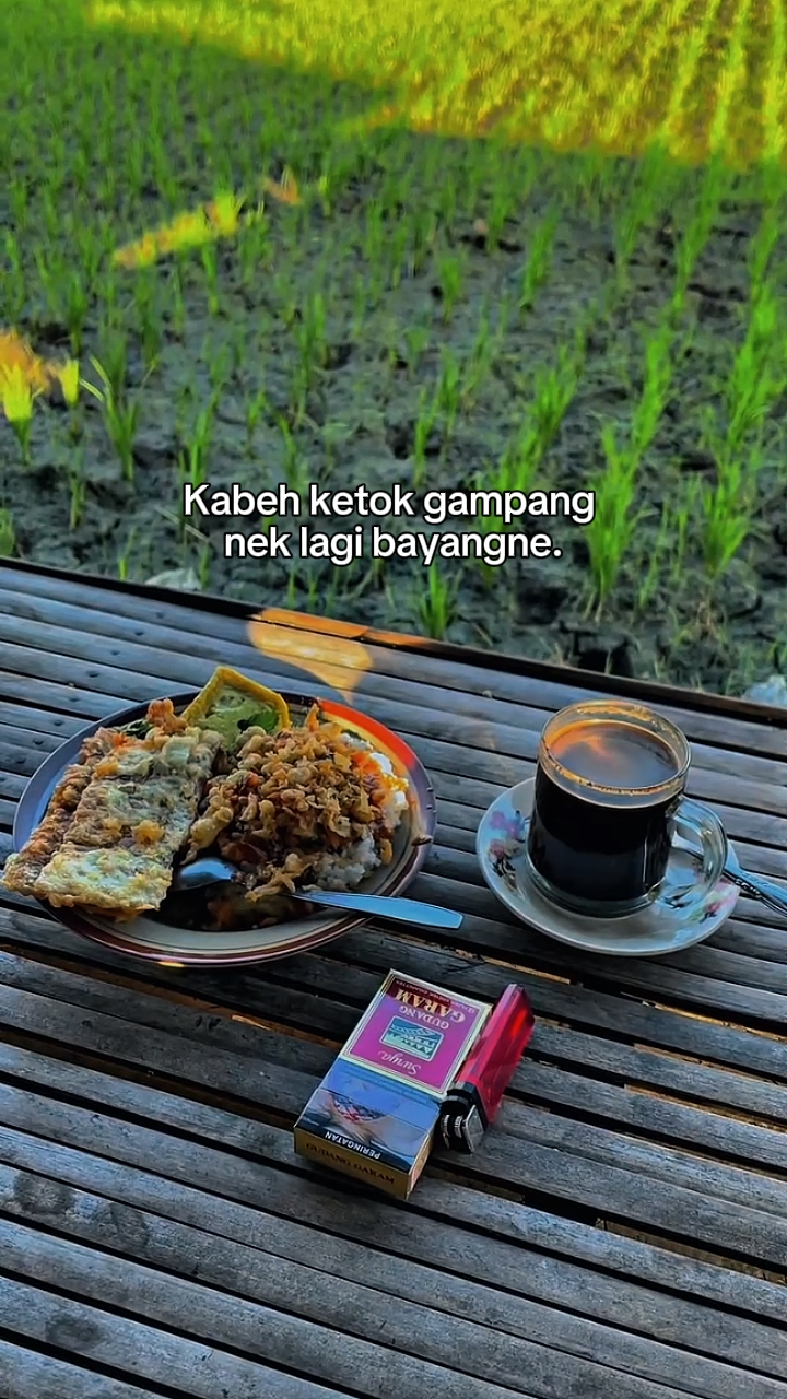 story wa 