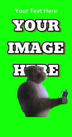 Monkey listening M