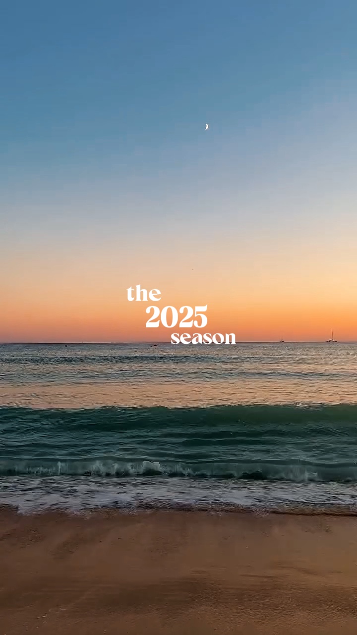 2025 시즌 