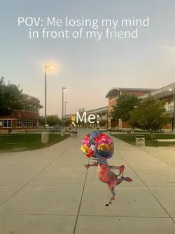 me losing my mind