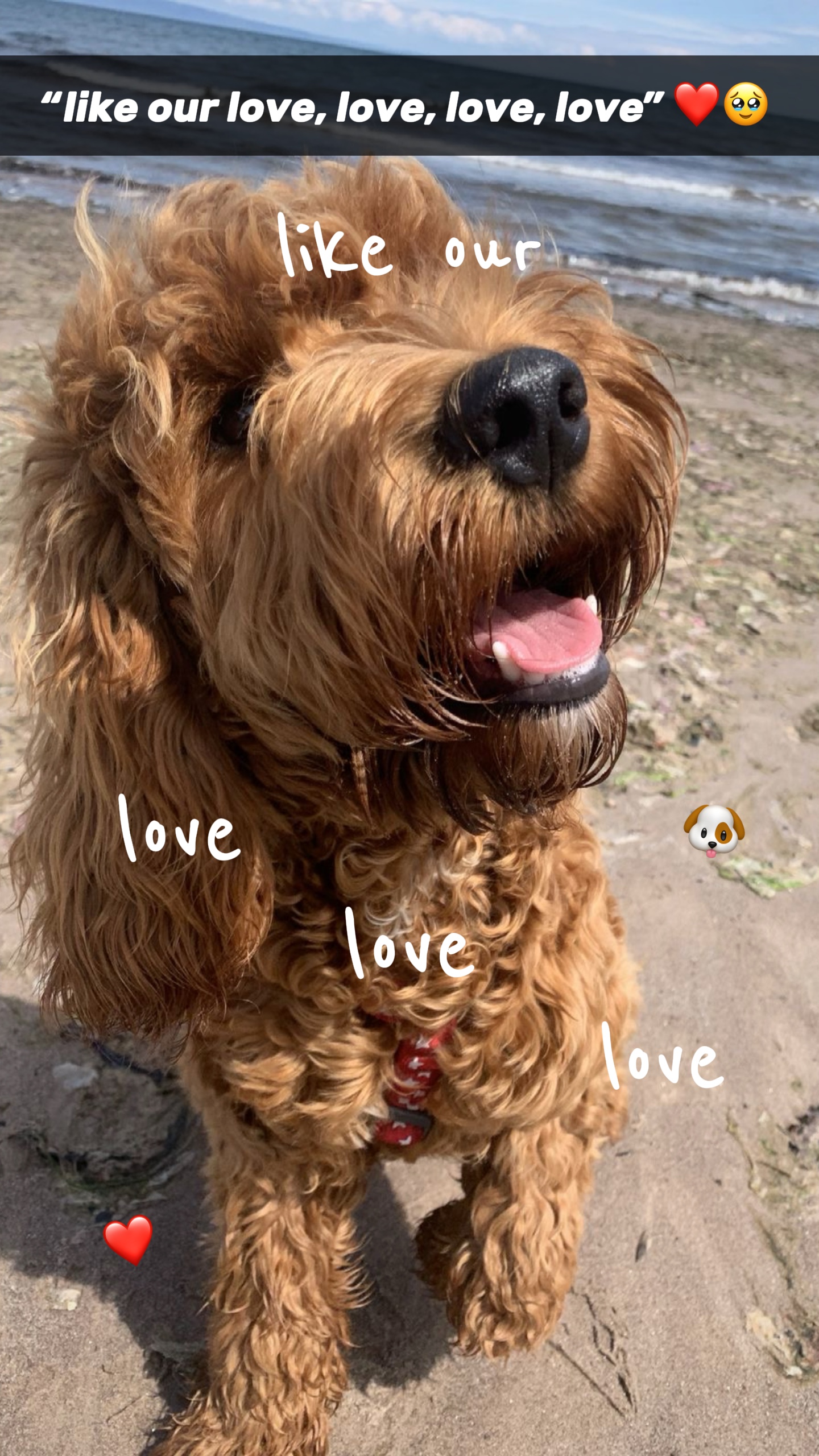 notre amour amour amour 