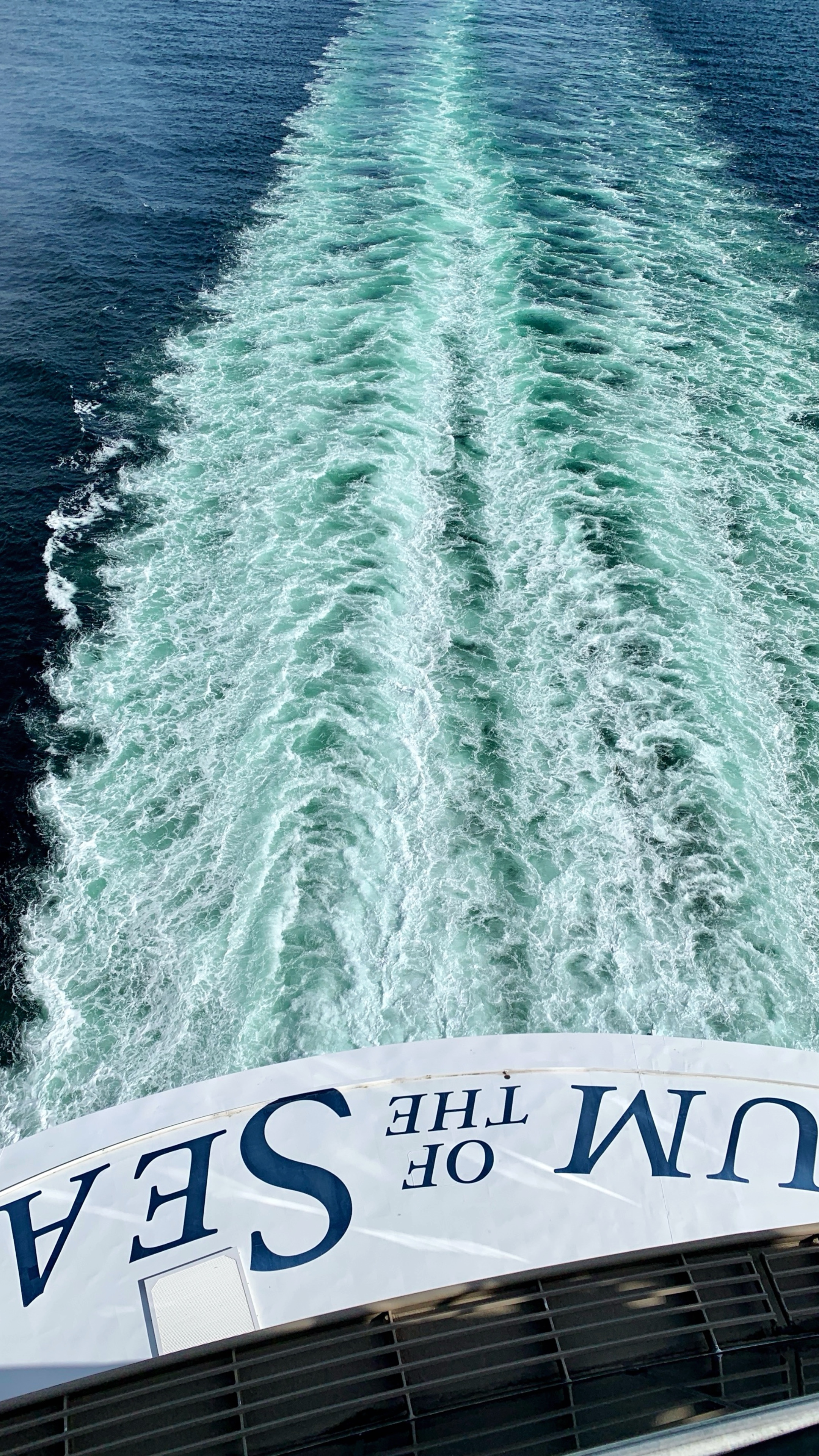 cruise vlog