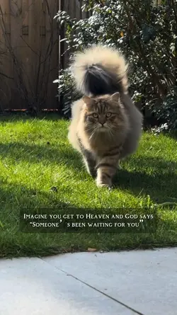 Waiting for you