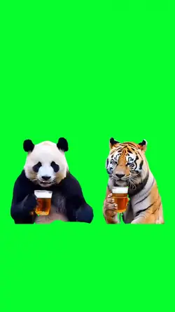 panda tiger drinks