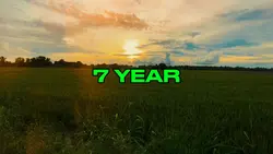 7 Year