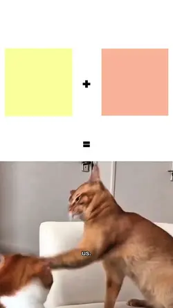 us cat 