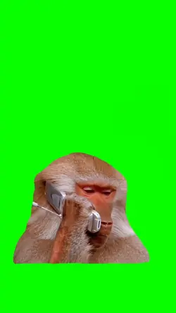 Monkey Calling