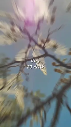 Vlog 30 detik