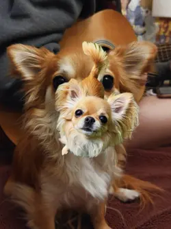 Beatsync Phonk Trend