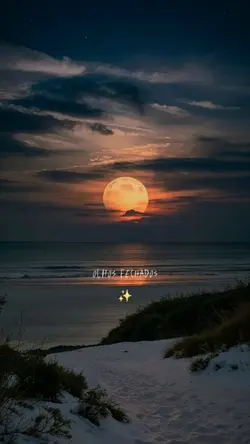 aonde quer que eu vá