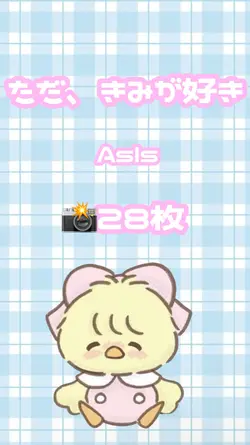ただ、きみが好き 28枚