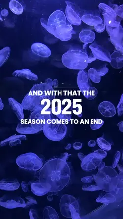 2025 RECAP
