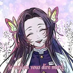 Je voulais vous dire