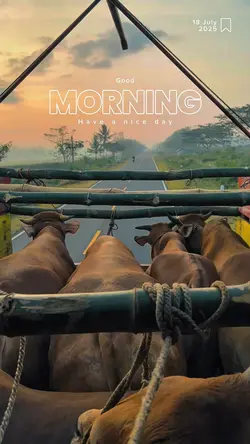 good morning