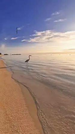 SEDIKIT KATA SAAT IN