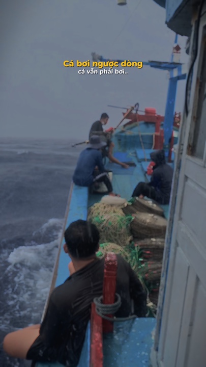 Cá bơi ngược dòng