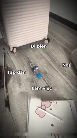 ĐI BIỂN
