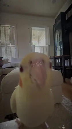 he’s so cute ❤️❤️