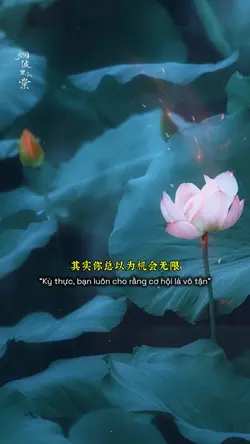 1 ẢNH